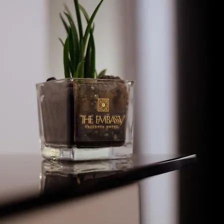 Отель The Embassy 4*