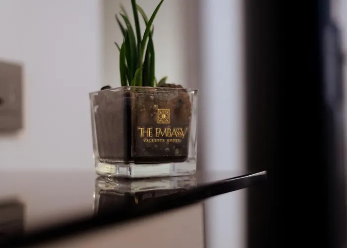 Hotel The Embassy 4*